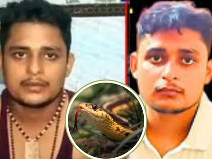 snake bites Vikas Dubey seven times truth came out officers solved the puzzle of truth | विकासला ७ वेळा कोणता साप चावला? समोर आलं भलतंच सत्य; अधिकाऱ्यांचा धक्कादायक खुलासा snake bites Vikas Dubey seven times truth came out officers solved the puzzle of truth | विकासला ७ वेळा कोणता साप चावला? समोर आलं भलतंच सत्य; अधिकाऱ्यांचा धक्कादायक खुलासा