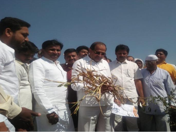 Give immediate help to drought-affected, otherwise the convention will not be started: Radhakrishna Vikhe-Patil | दुष्काळग्रस्तांना तात्काळ मदत द्या, अन्यथा अधिवेशन चालू देणार नाही : राधाकृष्ण विखे- पाटील Give immediate help to drought-affected, otherwise the convention will not be started: Radhakrishna Vikhe-Patil | दुष्काळग्रस्तांना तात्काळ मदत द्या, अन्यथा अधिवेशन चालू देणार नाही : राधाकृष्ण विखे- पाटील