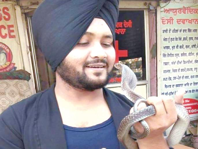 Eight people have committed crimes against Sarpamitra Vikram Singh Malhoti | सर्पमित्र विक्रमसिंग मलोत मृत्यूप्रकरणी आठ जणांवर गुन्हा Eight people have committed crimes against Sarpamitra Vikram Singh Malhoti | सर्पमित्र विक्रमसिंग मलोत मृत्यूप्रकरणी आठ जणांवर गुन्हा