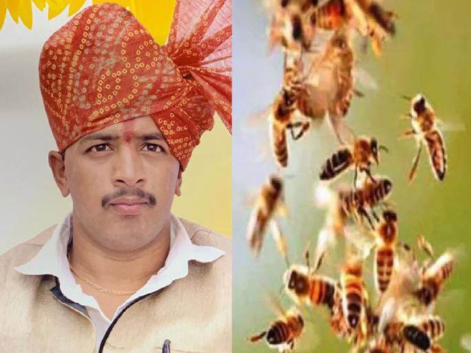 A young man who went to serve tea to farm laborers died in a bee attack in Gadhinglaj Kolhapur district | Kolhapur: शेतमजुरांना चहा द्यायला गेला, मधमाश्यांनी अचानक हल्ला केला; तरुणाचा मृत्यू A young man who went to serve tea to farm laborers died in a bee attack in Gadhinglaj Kolhapur district | Kolhapur: शेतमजुरांना चहा द्यायला गेला, मधमाश्यांनी अचानक हल्ला केला; तरुणाचा मृत्यू