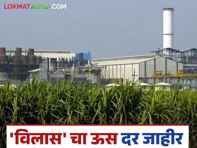 Sugar Factory: Minimum final sugarcane price of 'Vilas' Unit - 1 announced; First installment deposited in farmers' bank | Sugar Factory : 'विलास' युनिट - १ चा किमान अंतिम ऊस दर जाहीर; शेतकऱ्यांच्या बँकेत पहिला हप्ता जमा