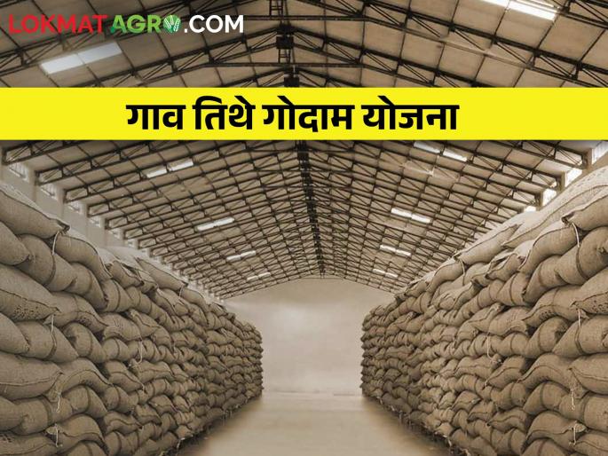 Latest News Now village godown plan to store grain of farmers | तुमचा शेत माल आता धान्य गोदामात साठवा, अशी आहे गाव तिथे गोदाम योजना Latest News Now village godown plan to store grain of farmers | तुमचा शेत माल आता धान्य गोदामात साठवा, अशी आहे गाव तिथे गोदाम योजना
