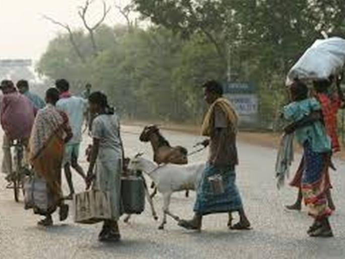 Patur: 40 families migrate to search for jobs in Malasur! | पातूर : मळसूर येथील ४0 कुटुंबांचे रोजगाराच्या शोधासाठी स्थलांतर! Patur: 40 families migrate to search for jobs in Malasur! | पातूर : मळसूर येथील ४0 कुटुंबांचे रोजगाराच्या शोधासाठी स्थलांतर!