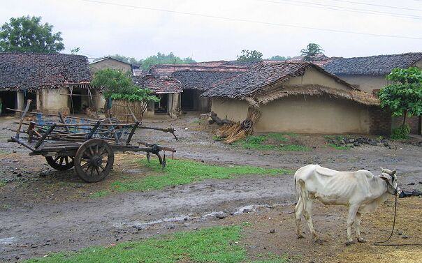 Delay in development work in rural areas due to transfer of Gram Sevaks | ग्रामसेवकांच्या बदलीमुळे ग्रामीण भागातील विकासकामांचा खोळंबा