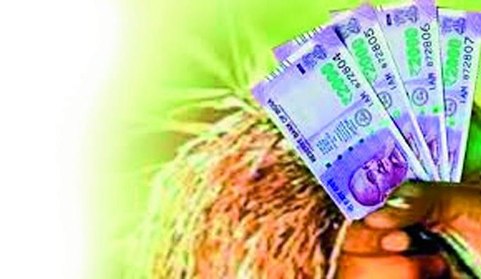 Crop insurance companies goods; 20.43 crore paid; Farmers will get Rs 10.47 crore | पीक विमा कंपन्या मालामाल; २०.४३ कोटी भरले; शेतकऱ्यांना मिळणार १०.४७ कोटी