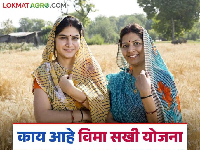 LIC Bima Sakhi Yojana: latest news women will get employment through Bima Sakhi, know in detail | LIC Bima Sakhi Yojana: लाडक्या बहिणींना मिळणार विमा सखीतून रोजगार कसा ते जाणून घ्या सविस्तर LIC Bima Sakhi Yojana: latest news women will get employment through Bima Sakhi, know in detail | LIC Bima Sakhi Yojana: लाडक्या बहिणींना मिळणार विमा सखीतून रोजगार कसा ते जाणून घ्या सविस्तर