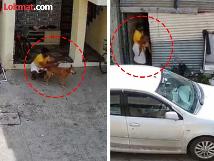 PUNE NEWS Perversion at its peak Torture of a dog in Tingrenagar; Unlawful act registered at the airport police station | विकृतीचा कळस ..! टिंगरेनगर येथे श्वानावर अत्याचार; विमानतळ पोलिस ठाण्यात अदखलपात्र गुन्ह्याची नोंद PUNE NEWS Perversion at its peak Torture of a dog in Tingrenagar; Unlawful act registered at the airport police station | विकृतीचा कळस ..! टिंगरेनगर येथे श्वानावर अत्याचार; विमानतळ पोलिस ठाण्यात अदखलपात्र गुन्ह्याची नोंद