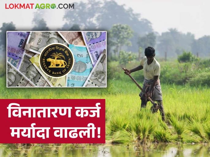 Latest News RBI Policy Farmer Loan Reserve Bank has decided to provide loans up to 2 lakh without collateral | RBI Policy Farmer Loan : आता विनातारण मिळणार 2 लाखांपर्यंतचे कर्ज, रिझर्व्ह बँकेने घेतला निर्णय Latest News RBI Policy Farmer Loan Reserve Bank has decided to provide loans up to 2 lakh without collateral | RBI Policy Farmer Loan : आता विनातारण मिळणार 2 लाखांपर्यंतचे कर्ज, रिझर्व्ह बँकेने घेतला निर्णय