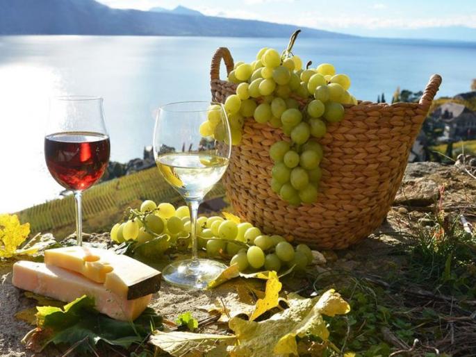 Wine grapes could also be hit by 10 to 15 per cent production with return rains | परतीच्या पावसाने वाईन ग्रेप्सलाही फटका, 10 ते 15 टक्के उत्पादन घटण्याची शक्यता Wine grapes could also be hit by 10 to 15 per cent production with return rains | परतीच्या पावसाने वाईन ग्रेप्सलाही फटका, 10 ते 15 टक्के उत्पादन घटण्याची शक्यता