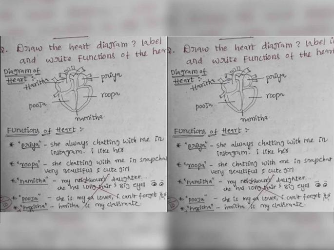 Student draw diagram of heart in exam wrote girlfriends names in different inside | पेपरमध्ये विद्यार्थ्याने काढली हृदयाची आकृती, त्यात जे लिहिलं ते वाचून शिक्षक हैराण Student draw diagram of heart in exam wrote girlfriends names in different inside | पेपरमध्ये विद्यार्थ्याने काढली हृदयाची आकृती, त्यात जे लिहिलं ते वाचून शिक्षक हैराण