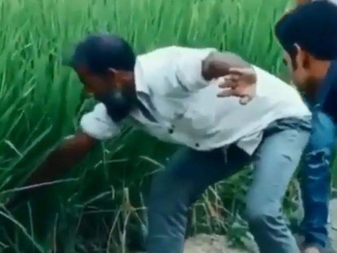 Viral video posted by diljit dosanjh know the reality of snake catching prank | Video : शेतातून बाहेर काढत होता साप अन् पुढे जे झालं... Viral video posted by diljit dosanjh know the reality of snake catching prank | Video : शेतातून बाहेर काढत होता साप अन् पुढे जे झालं...