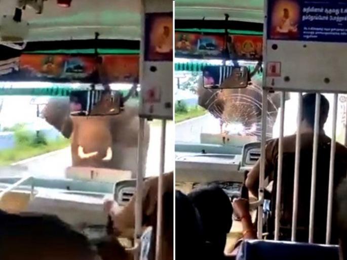 Elephant attack on bus breaks windshield ifs says huge respect for the driver of bus watch video | VIDEO : हत्तीने बसवर केला घातक हल्ला, लोकांकडून ड्रायव्हरचं कौतुक Elephant attack on bus breaks windshield ifs says huge respect for the driver of bus watch video | VIDEO : हत्तीने बसवर केला घातक हल्ला, लोकांकडून ड्रायव्हरचं कौतुक