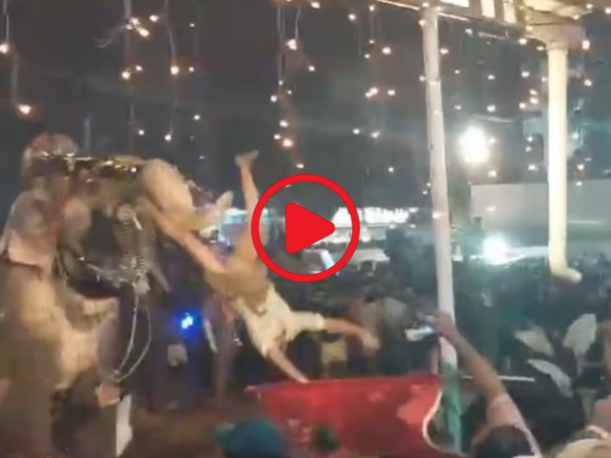 Viral Video: Srikuttan was upset, the crowd entered in anger and held him by the trunk...; Watch the video | Viral Video: श्रीकुट्टन बिथरला, रागात गर्दी घुसला अन् सोंडेत धरून...; पहा व्हिडीओ  Viral Video: Srikuttan was upset, the crowd entered in anger and held him by the trunk...; Watch the video | Viral Video: श्रीकुट्टन बिथरला, रागात गर्दी घुसला अन् सोंडेत धरून...; पहा व्हिडीओ