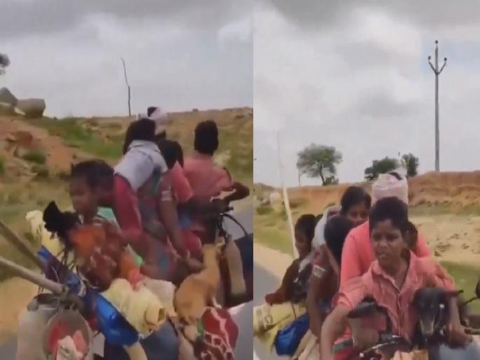 7 people, two dogs, one goat and one rooster on a single bike; You will be amazed after watching the VIDEO... | एकच बाईकवर 7 लोक, दोन कुत्री, एक बकरी अन् कोंबडा; VIDEO पाहून चक्रावून जाल... 7 people, two dogs, one goat and one rooster on a single bike; You will be amazed after watching the VIDEO... | एकच बाईकवर 7 लोक, दोन कुत्री, एक बकरी अन् कोंबडा; VIDEO पाहून चक्रावून जाल...