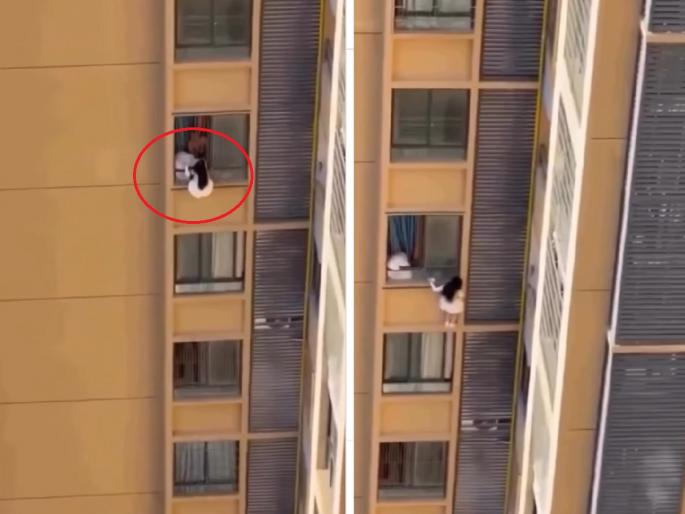 Viral Video: Wife returns home, scared husband hangs his girlfriend from the 10th floor, watch video | पत्नी अचानक घरी परतली, घाबरलेल्या पतीने प्रेयसीला 10व्या मजल्यावर लटकवले, पाहा Video...
