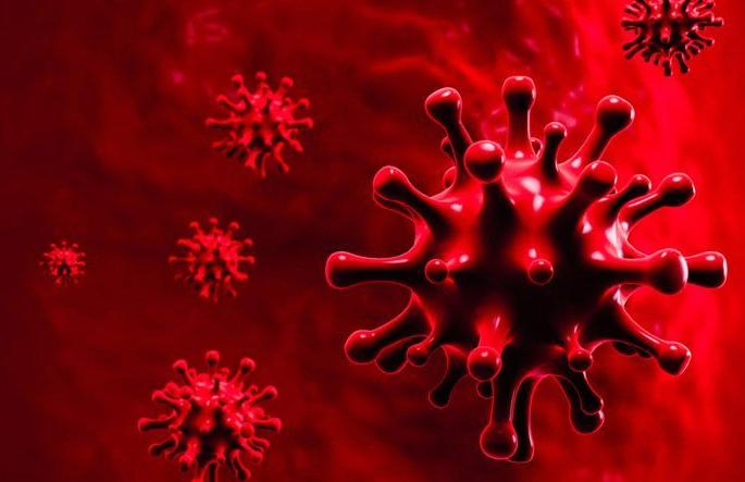 The number of corona victims in Gondia district has crossed 100 | Corona Virus; गोंदिया जिल्ह्यातील कोरोनाबाधितांचा आकडा शंभरी पार The number of corona victims in Gondia district has crossed 100 | Corona Virus; गोंदिया जिल्ह्यातील कोरोनाबाधितांचा आकडा शंभरी पार