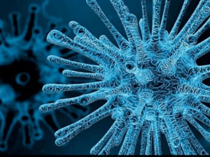 gujarat Chandipura Virus death rise what is symptoms and treatment | Chandipura Virus : भीतीदायक! गुजरातमध्ये चांदीपुरा व्हायरसचा प्रकोप; १५ जणांचा मृत्यू, आढळले २७ रुग्ण gujarat Chandipura Virus death rise what is symptoms and treatment | Chandipura Virus : भीतीदायक! गुजरातमध्ये चांदीपुरा व्हायरसचा प्रकोप; १५ जणांचा मृत्यू, आढळले २७ रुग्ण