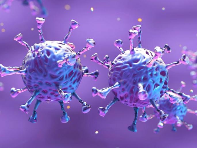 CoronaVirus in Akola: Death of two more; 47 Positive! | CoronaVirus in Akola : आणखी दोघांचा मृत्यू; ४७ पॉझिटिव्ह! CoronaVirus in Akola: Death of two more; 47 Positive! | CoronaVirus in Akola : आणखी दोघांचा मृत्यू; ४७ पॉझिटिव्ह!