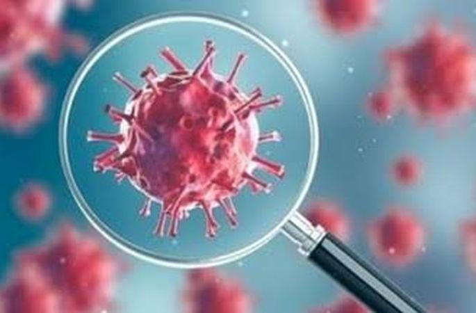 Big Breaking: Another victim of Corona in Akola; Five new positives | Big Breaking : CoronaVirus : अकोल्यात पाच नवे पॉझिटिव्ह, मृत महिलाही कोरोनाबाधीत Big Breaking: Another victim of Corona in Akola; Five new positives | Big Breaking : CoronaVirus : अकोल्यात पाच नवे पॉझिटिव्ह, मृत महिलाही कोरोनाबाधीत