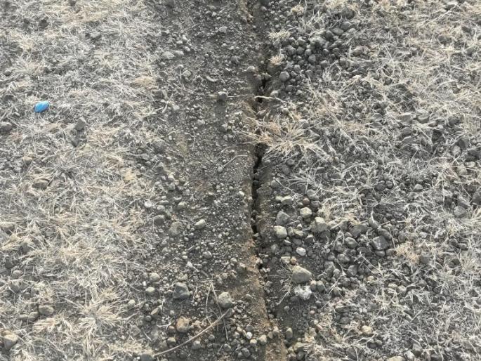 Filling of Visharpur lake in Shrigonda taluka | श्रीगोंदा तालुक्यातील विसापूर तलावाच्या भरावाला भेग