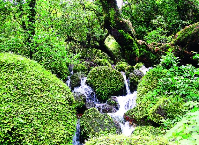 Sightseeing crime scene | विशाळगड, उदगिरी, आंबा, अणुस्कुरा घाटात गुन्हेगारी जोरात : पोलिसांचे दुर्लक्ष  Sightseeing crime scene | विशाळगड, उदगिरी, आंबा, अणुस्कुरा घाटात गुन्हेगारी जोरात : पोलिसांचे दुर्लक्ष