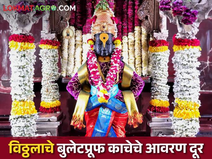 Good news for farmers varkari, Vitthal's padasparsha darshan will start from 2nd June | Vitthal Darshan शेतकरी वारकऱ्यांना आनंदाची बातमी, २ जूनपासून विठ्ठलाचे पदस्पर्श दर्शन सुरू होणार Good news for farmers varkari, Vitthal's padasparsha darshan will start from 2nd June | Vitthal Darshan शेतकरी वारकऱ्यांना आनंदाची बातमी, २ जूनपासून विठ्ठलाचे पदस्पर्श दर्शन सुरू होणार