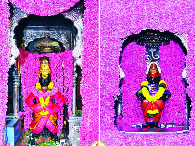 Cannabis flowers brought from Bengaluru to admire Vitthal-Rukminimata | बंगळुरूहून आणलेल्या कण्हेरी फुलांची विठ्ठल-रूक्मिणीमातेला आरास Cannabis flowers brought from Bengaluru to admire Vitthal-Rukminimata | बंगळुरूहून आणलेल्या कण्हेरी फुलांची विठ्ठल-रूक्मिणीमातेला आरास