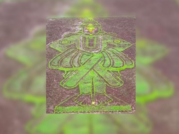 A magnificent idol of Vitthal was erected in the paddy field of Vatunde village in Pune district | आषाढी वारी | पुणे जिल्ह्यातील वातूंडे गावच्या भातशेतात साकारली विठ्ठलाची भव्य मूर्ती A magnificent idol of Vitthal was erected in the paddy field of Vatunde village in Pune district | आषाढी वारी | पुणे जिल्ह्यातील वातूंडे गावच्या भातशेतात साकारली विठ्ठलाची भव्य मूर्ती