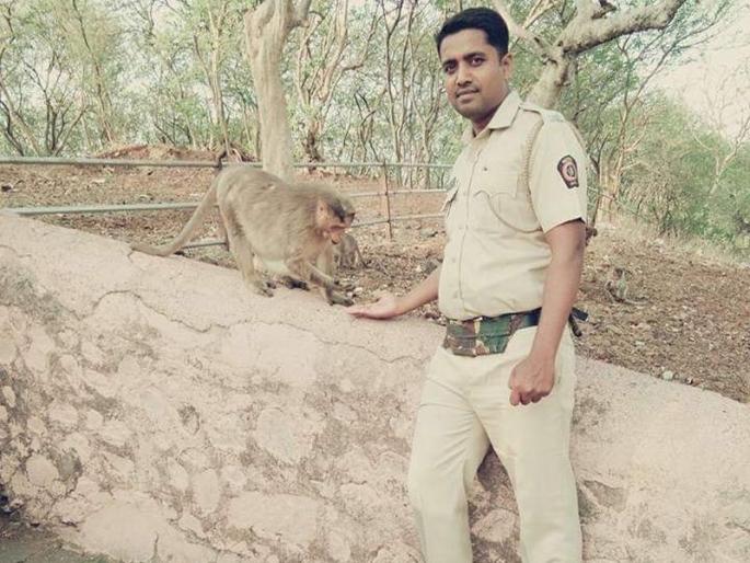 The three brothers in police service in osmanabad, farmer son become PSI | शेतकऱ्याची तिन्ही पोरं देशसेवेत, पोलीस शिपाई असणारे सख्खे भाऊ PSI बनले The three brothers in police service in osmanabad, farmer son become PSI | शेतकऱ्याची तिन्ही पोरं देशसेवेत, पोलीस शिपाई असणारे सख्खे भाऊ PSI बनले