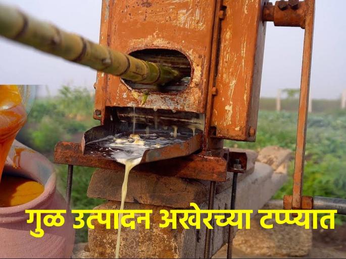 In the final phase of jaggery production, the cloudy weather increased the farmers' demand for sugarcane | गूळ उत्पादन अंतिम टप्प्यात, ढगाळ वातावरणामुळे शेतकऱ्यांची गाळपासाठी लगबग वाढली In the final phase of jaggery production, the cloudy weather increased the farmers' demand for sugarcane | गूळ उत्पादन अंतिम टप्प्यात, ढगाळ वातावरणामुळे शेतकऱ्यांची गाळपासाठी लगबग वाढली