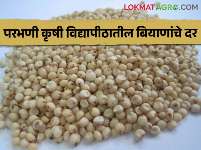 Parbhani Agricultural University will start sale of seeds for Kharif on May 18 | खरीपासाठी परभणी कृषी विद्यापीठाकडून १८ मे ला बियाणे विक्री सुरु होणार