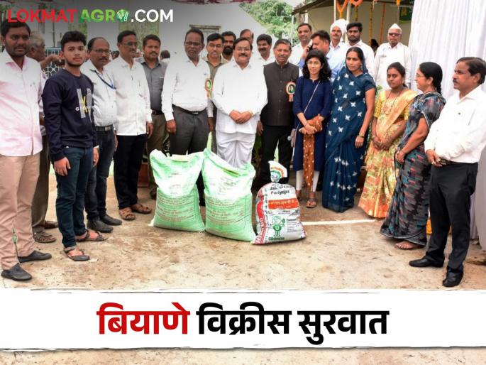 Seed sale of Agricultural University begins, response of farmers to seed purchase | कृषि विद्यापीठाच्या बियाणे विक्रीस सुरवात, शेतकऱ्यांचा बियाणे खरेदीस प्रतिसाद Seed sale of Agricultural University begins, response of farmers to seed purchase | कृषि विद्यापीठाच्या बियाणे विक्रीस सुरवात, शेतकऱ्यांचा बियाणे खरेदीस प्रतिसाद