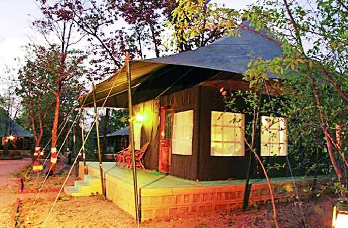 Vote up, go to the resort! 25% discount on hotels and resorts in Punch | मतदान करा, रिसॉर्टमध्ये जा! पेंचमधील हॉटेल व रिसॉर्टमध्ये २५ टक्के सूट