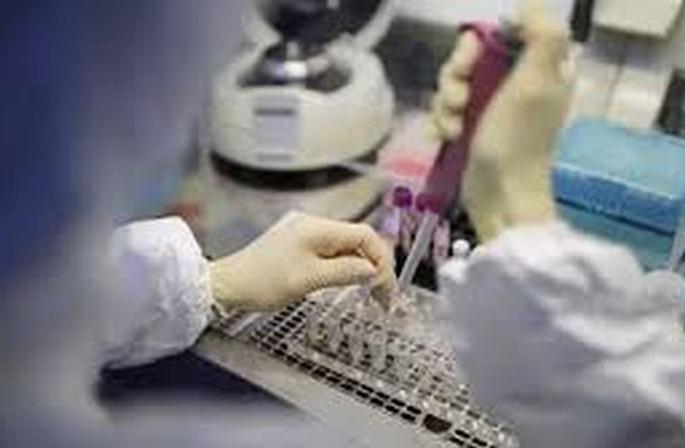 CoronaVirus: Corona testing of Amravati patients now in Akola! | CoronaVirus : अमरावतीच्या रुग्णांची कोरोना चाचणी आता अकोल्यात! CoronaVirus: Corona testing of Amravati patients now in Akola! | CoronaVirus : अमरावतीच्या रुग्णांची कोरोना चाचणी आता अकोल्यात!