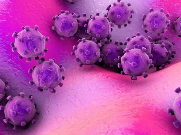 Why do these micro-organisms rise on the human soul? | हे सूक्ष्म जीव माणसाच्या जिवावर का उठतात ? Why do these micro-organisms rise on the human soul? | हे सूक्ष्म जीव माणसाच्या जिवावर का उठतात ?