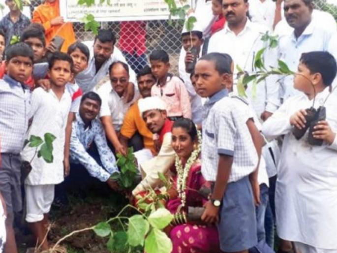 before marriage bride and groom were cultivate the tree | आधी लावले झाड आणि मगच घातले हार  before marriage bride and groom were cultivate the tree | आधी लावले झाड आणि मगच घातले हार