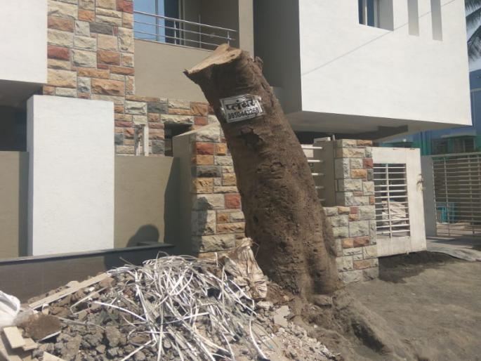 angholichi goli honored return who given by pmc for protesting against the tree | वृक्षतोडीच्या निषेधार्थ अंघोळीची गोळी आपला सन्मान महापालिकेला करणार परत  angholichi goli honored return who given by pmc for protesting against the tree | वृक्षतोडीच्या निषेधार्थ अंघोळीची गोळी आपला सन्मान महापालिकेला करणार परत