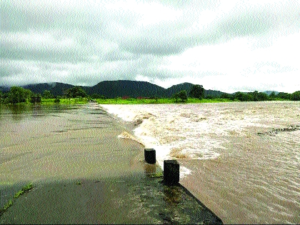 Sheep on the Tansa River, the White Star underwater | तानसा नदीवरील मेढे, पांढरतारा पूल पाण्याखाली Sheep on the Tansa River, the White Star underwater | तानसा नदीवरील मेढे, पांढरतारा पूल पाण्याखाली