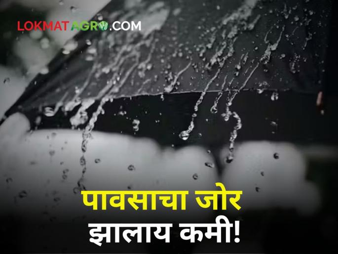 Maharashtra Rain Updates Heavy yesterday but today the rain has subsided red alert | Maharashtra Rain Updates : काल जोरदार पण आज पावसाचा जोर ओसरला! काय आहेत हवामानाचे इशारे? Maharashtra Rain Updates Heavy yesterday but today the rain has subsided red alert | Maharashtra Rain Updates : काल जोरदार पण आज पावसाचा जोर ओसरला! काय आहेत हवामानाचे इशारे?
