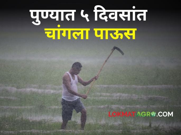Pune Weather Updates Heavy rain in next 5 days in Pune! What are weather warnings? | Pune Weather Updates: पुण्यात पुढील 5 दिवसांत धोधो पाऊस! काय आहेत हवामानाचे इशारे?
