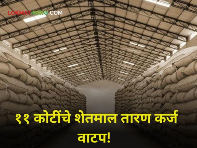 Loan: Farmers take advantage of the scheme! Marketing Board distributes loans worth Rs 11 crore this season | Loan : शेतकऱ्यांनो योजनेचा लाभ घ्या! या हंगामात तारण कर्ज योजनेतून ११ कोटी रूपयांचे कर्ज वाटप