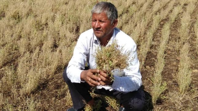 Giving price to the farmer, along with the famine, there is a lot | शेतमालाला भाव, दुष्काळात साथ एवढे दिले तरी खूप झाले