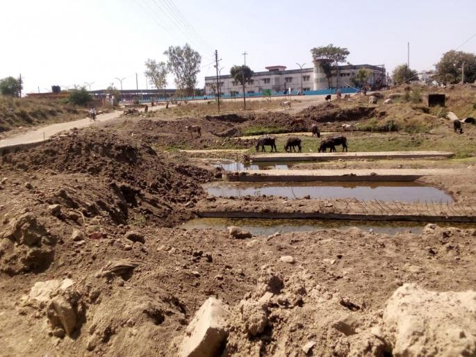 Even after the death of three people, construction of 'Gowari' bridge incomplete for two years, plight of citizens | तिघांचा बळी जाऊनही ‘गाेवरी’चा पूल तयार हाेईना; विद्यार्थ्यांसह शेतकऱ्यांचे राेज हाल Even after the death of three people, construction of 'Gowari' bridge incomplete for two years, plight of citizens | तिघांचा बळी जाऊनही ‘गाेवरी’चा पूल तयार हाेईना; विद्यार्थ्यांसह शेतकऱ्यांचे राेज हाल