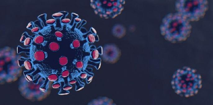 two covid-19 patients death and 117 new cases registered in gondia district on 27 jan | गंभीर ! जिल्ह्यात आणखी दोन कोरोना बाधितांचा मृत्यू, ११७ रुग्णांची भर two covid-19 patients death and 117 new cases registered in gondia district on 27 jan | गंभीर ! जिल्ह्यात आणखी दोन कोरोना बाधितांचा मृत्यू, ११७ रुग्णांची भर