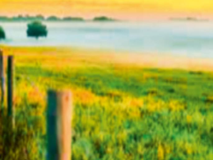 Relief for project victims State government scraps 100 percent landless condition | प्रकल्पग्रस्तांना दिलासा; शंभर टक्के भूमिहीनची अट राज्य सरकारने केली रद्द Relief for project victims State government scraps 100 percent landless condition | प्रकल्पग्रस्तांना दिलासा; शंभर टक्के भूमिहीनची अट राज्य सरकारने केली रद्द