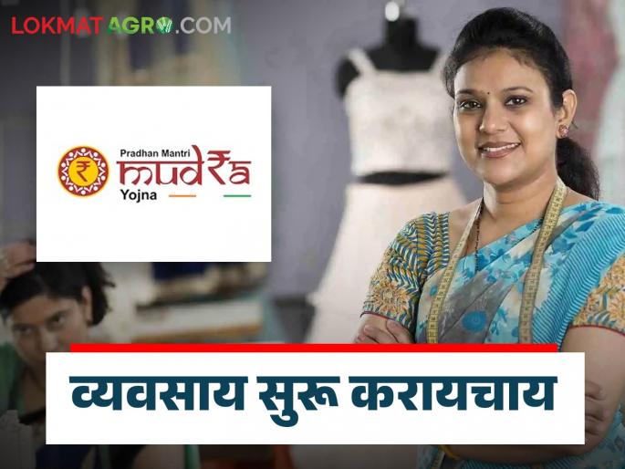 Latest News Low Cost Business Idea Start these two businesses with subsidy and earn good income, read in detail  | Low Cost Business Idea : सबसिडीतून 'हे' दोन व्यवसाय सुरु करा अन् चांगलं उत्पन्न मिळवा, वाचा सविस्तर  Latest News Low Cost Business Idea Start these two businesses with subsidy and earn good income, read in detail  | Low Cost Business Idea : सबसिडीतून 'हे' दोन व्यवसाय सुरु करा अन् चांगलं उत्पन्न मिळवा, वाचा सविस्तर