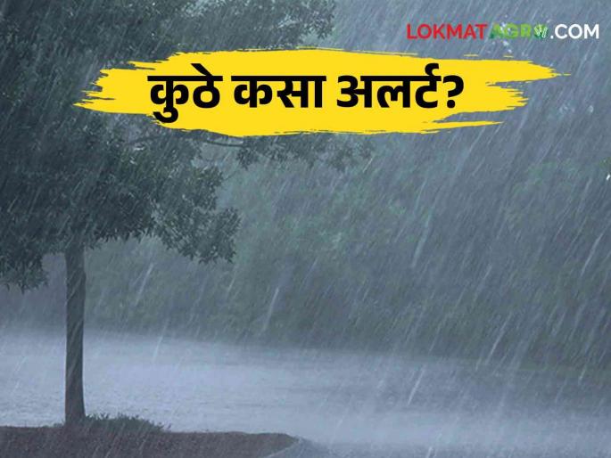 Maharashtra Weather Update: How will it rain next week? Read the weather forecast | Maharashtra Weather Update: पुढच्या आठवड्यात कसा राहील पाऊस? वाचा हवामान अंदाज Maharashtra Weather Update: How will it rain next week? Read the weather forecast | Maharashtra Weather Update: पुढच्या आठवड्यात कसा राहील पाऊस? वाचा हवामान अंदाज