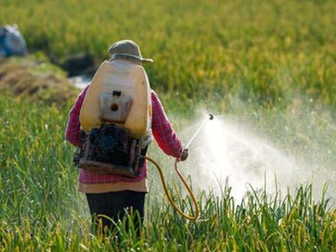 Seven farmers poisoned in one day! | एकाच दिवशी सात शेतकऱ्यांना विषबाधा! Seven farmers poisoned in one day! | एकाच दिवशी सात शेतकऱ्यांना विषबाधा!