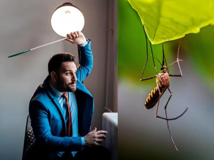 Mosquitoes killed half of the human population? You will also be shocked to know the truth... | मच्छरांनी संपवली माणसांची अर्धी जमात? सत्य जाणून तुम्हालाही धक्का बसेल... Mosquitoes killed half of the human population? You will also be shocked to know the truth... | मच्छरांनी संपवली माणसांची अर्धी जमात? सत्य जाणून तुम्हालाही धक्का बसेल...