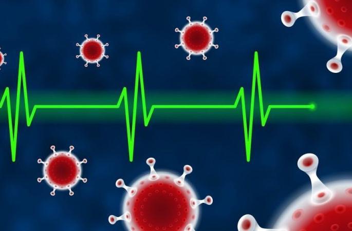 CoronaVirus in Akola: Another victim of Corona; 15 new positives | CoronaVirus in Akola : कोरोनाचा आणखी एक बळी; १५ नवे पॉझिटिव्ह CoronaVirus in Akola: Another victim of Corona; 15 new positives | CoronaVirus in Akola : कोरोनाचा आणखी एक बळी; १५ नवे पॉझिटिव्ह